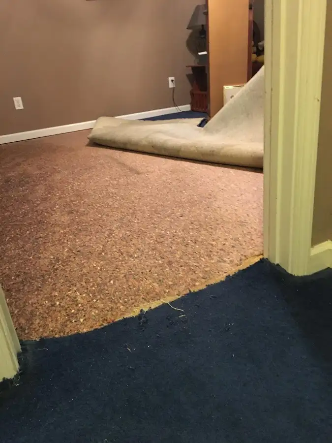 Carpet pad removal revealing water damage during Water Mitigation Services in Perry
